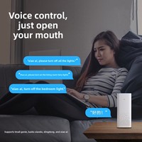 Multiprise intelligente Wi-Fi Tuya pour l'exportation, norme américaine, avec cadre en alliage d'aluminium, deux boutons de commande séparés, 6 prises CA