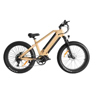 Vélo électrique Cruiser 750W 1000W Mid Motor Bafang Fat Tire E Bike/vélo électrique/vélo électrique OEM Al cadre en alliage neige plage