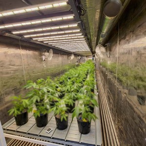 Smart Enclosed Container <b>Plant</b> Farm HDPE Material Automated Aeroponic Irrigation with Full Spectrum LED <b>Lights</b> 3 Months Warranty - Product Image 6