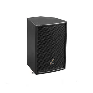 SPE мини-динамик МДФ шкаф 10 дюймов полный спектр динамик Профессиональное аудио 10-дюймовый динамик