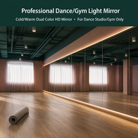 Miroir de gym HD sans cadre, grand miroir mural lumineux à LED pour studio de yoga, danse et Pilates