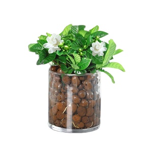 4-8mm 8-16mm Leca Bóng thủy canh Leca nhẹ mở rộng đất sét tổng hợp - Product Image 5