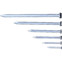 Clous en acier galvanisé à chaud, tête standard, calibre 2, tige lisse, haute résistance, pour clôtures extérieures, coffrage en béton, emballés en carton