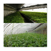 Cadre de serres en plastique de tunnel agricole complet de poulailler à faible coût pour cultiver des légumes