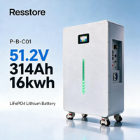 Batterie solaire divisée 16 kWh avec communication CAN LiFePO4 51,2 V 314 Ah pour systèmes solaires domestiques et onduleurs