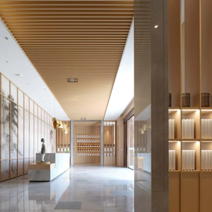 Diseño interior terapéutico para centros de bienestar, utilizando principios biofílicos, diseños sensoriales y visualización 3D - Product Image 6