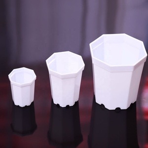 Dia.4.8 * 5cm vaso di fiori colorato min vaso di plastica per vivaio piccolo succulento e vaso di <span class=keywords><strong>Cactus</strong></span> - Product Image 5