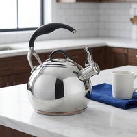 Bouilloire sifflante moderne en acier inoxydable poli miroir, compatible induction, écologique, sans revêtement, pour la maison et les hôtels