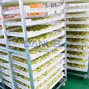 Leading Technology Vegetable Drying Oven Room Carrot Dehydrator Equipment Carrot Cleaning Slicing and Drying Line - Product Image 1