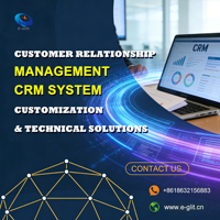 Software de Gestión de Relaciones con Clientes Personalizado, con Seguimiento de Ventas, Desplazado Localmente y Basado en IA, Solución CRM