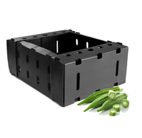 Boîte d'emballage en carton creux PP robuste et durable du fabricant chinois Boîtes logistiques pliantes réutilisables pour fruits et légumes