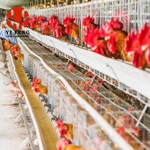 Gabbia a strati convenzionale a 4 livelli, gabbia a batteria in acciaio zincato, abbeveratoio a capezzolo, mangiatoia OEM per allevamenti avicoli, galline ovaiole, CE - Product Image 2
