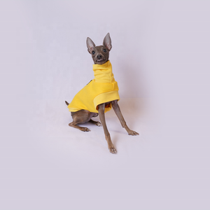 Hot Bán Pet Hoodie Phim Hoạt Hình In Ấn Chó Quần Áo 4 Chân Bông Puppy Hoodies Áo Len - Product Image 4