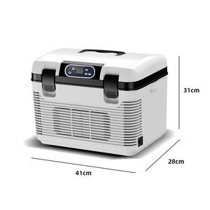 Car <b>Mini</b> Refrigerator 15L Portable Direct Cooling Semiconductor <b>Cooler</b> for Beverages Medicines Fruits Vegetables Cosmetics - Product Image 1