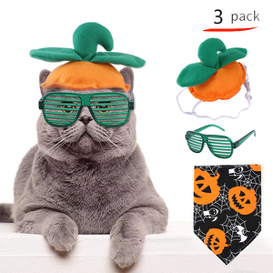 Conjunto de Pañuelo, Sombrero y Gafas para Perro o Gato de Halloween, Tela Ecológica, Disfraz de Calabaza para Mascotas de Verano e Invierno - Product Image 2