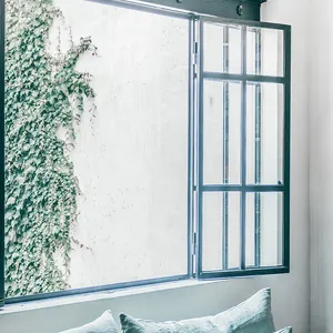 아름다운 맞춤형 크기 금속 프레임 유리 조합 여닫이 창