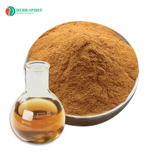 Estratto di Tè Verde Herbspirit, Polvere di Estratto di Tè Verde Solubile, Polvere di Estratto di Tè Verde Biologico Istantaneo - Product Image 2