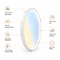 Nuevo Modelo 2026, Lámpara de Techo LED Skyline Moderna de Aluminio con Efecto Dinámico para Hogar y Oficina, 60W, 1800-12000K, CRI>95, IP40, 5 Años de Garantía