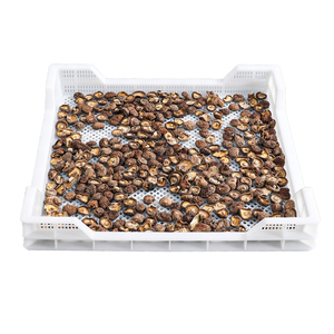 Plateaux <span class=keywords><strong>de</strong></span> séchage en plastique empilables <span class=keywords><strong>de</strong></span> qualité supérieure, en matière première pure <span class=keywords><strong>de</strong></span> qualité alimentaire, <span class=keywords><strong>pour</strong></span> <span class=keywords><strong>fruits</strong></span> <span class=keywords><strong>de</strong></span> <span class=keywords><strong>mer</strong></span> surgelés / légumes / <span class=keywords><strong>fruits</strong></span> - Product Image 5