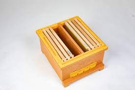 EPP EPS Poly Anh quốc gia langth tổ ong Bee hộp NUC đầy đủ Hive mở rộng Polystyrene beebox - Product Image 3