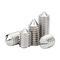 Vis sans tête à pointe conique fendue en acier inoxydable 304 DIN553 M2.5 M3 M4 M5 M6 M8 M10