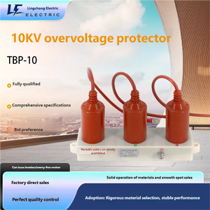 TBP-10 10kv ओवरवोल्टेज रक्षक बिजली उपकरण जस्ता ऑक्साइड धातु बिजली वाहक - Product Image 2