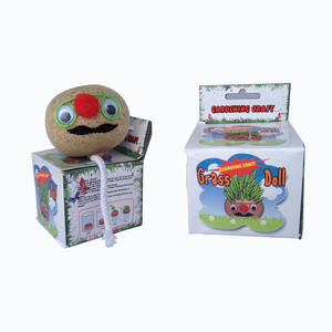 Grashoofd Pop Kit Leuk <span class=keywords><strong>Diy</strong></span> Planter Voor Kinderen Decoraties Educatief Stengel Speelgoed Uniek Verjaardagscadeau - Product Image 5