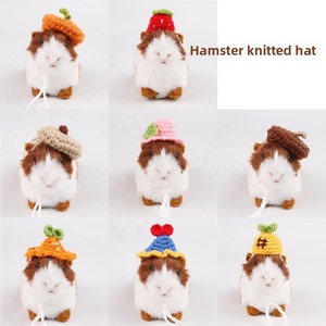Mini chapeau pour cochon d'Inde, accessoires photo faits main, mignon, pour petaurin, avec branche fleurie, chapeau tricoté pour hamster doré, toutes saisons - Product Image 2