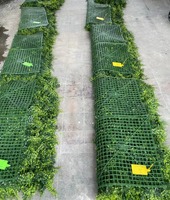 Décoration murale de jardin extérieure, panneau mural en lierre artificiel, écran de séparation pour la vie privée, panneaux en faux buis anti-UV.
