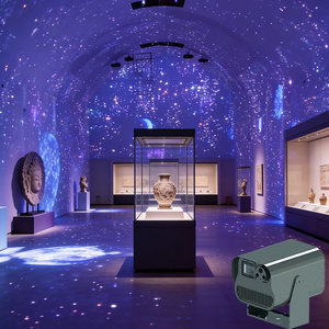 Immersive Interactive Projection System for Large Rooms with Wall and Floor Visual Experience for Museums - Product Image 1