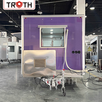 Camion de restauration mobile rose personnalisé Truth, entièrement équipé, pour la vente de glaces et de cuisine mobile, à vendre aux États-Unis