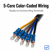 LNLEE PCE Cable Industrial de 3m con Enchufe IEC 60309 de 5 Pines, 5x2.5mm² 300/500V H07RN-F con Terminales de Anillo, Longitud de Cable Personalizada