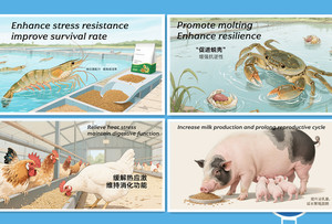 Suplemento de Ácido Biliar para Alimentación de Ganado, Mejora la Absorción de Nutrientes, Apto para Aves de Corral/Aquicultura/Animales de Granja - Product Image 5