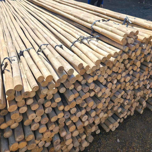 Piquets en bambou Tam Vong en gros, écologiques et robustes, pour le soutien des plantes agricoles, les projets de jardinage et extérieurs - Product Image 1