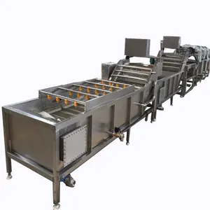 Fruit Groente Verwerking Machines Wassen Drogen En Sorteermachine/Fruit Wassen Peeling Machine