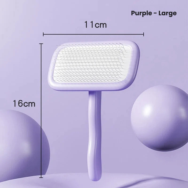 Violet de grande taille en forme de carré