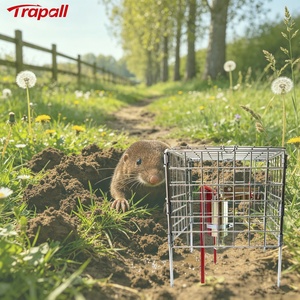 Piège à taupes et campagnols en métal pour jardin extérieur, facile à installer, avec panier de sécurité et cage de protection - Product Image 1