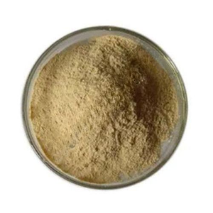 Poudre d'enzyme de bromélaïne 3000 GDU – Enzyme protéolytique végétale puissante pour une hydrolyse efficace des protéines et un soutien digestif - Product Image 4