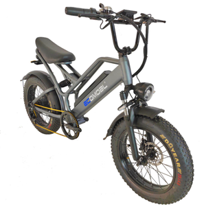 Vélo de montagne électrique sportif à cadre en alliage d'aluminium, moteur sans balais intégré au moyeu arrière, pneus larges 20x4 pour la neige, batterie au lithium 48V 15Ah - Product Image 5