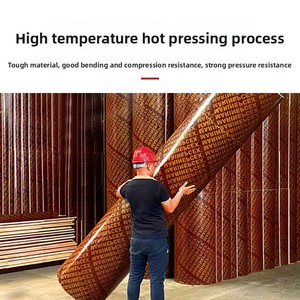 Hiện đại Gỗ xây dựng trang web Kỹ thuật tráng cong xây dựng ván khuôn nước cũng xi lanh tùy chỉnh Arc ván khuôn - Product Image 3