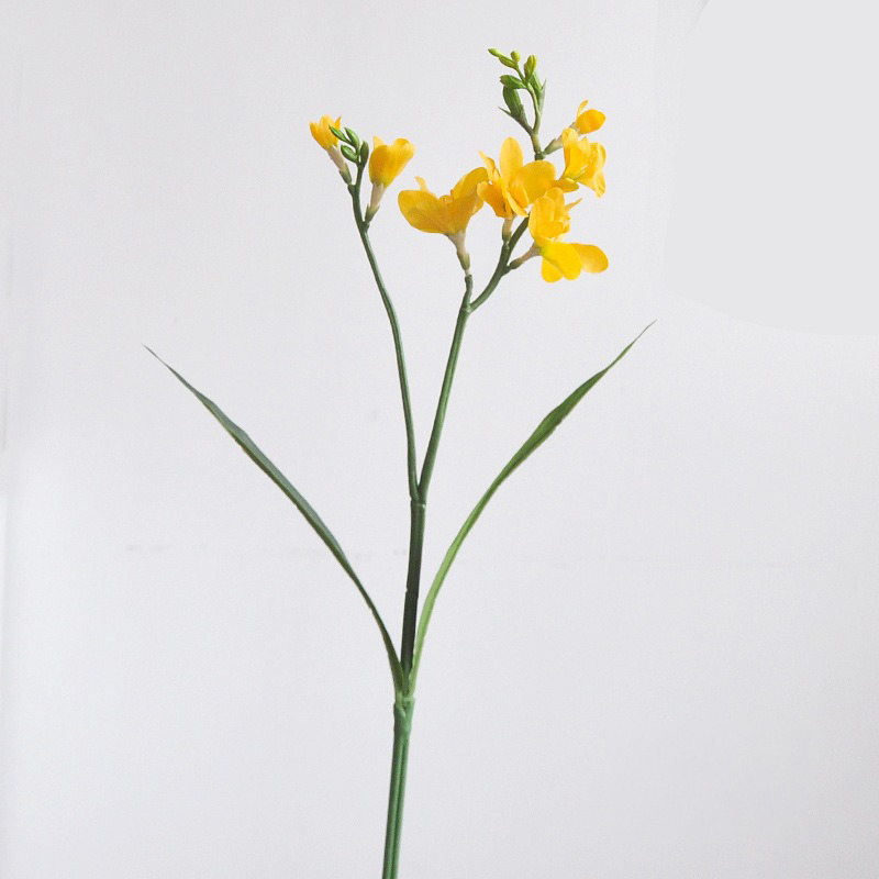 สีเหลือง