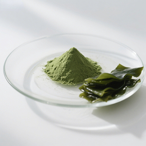 Supply Pure Food Grade 99% Fresh Dehydrated <strong>Kelp</strong> <strong>Powder</strong> <strong>Kelp</strong> Extract <strong>Powder</strong> - Product Image 2