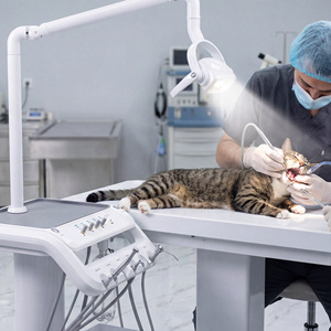 Carrito Dental Veterinario Portátil Silencioso de 600W Sin Aceite para Cirugía Dental en Hospitales de Animales - Product Image 1