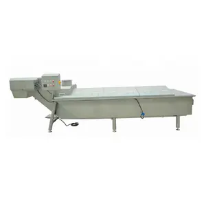 High Efficiency Vegetable and Fruit Food Belt Blanching Machine for Precooking Boiling Processing