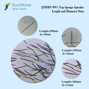 ผงฟองน้ำไฮโดรไลซ์ผงซิลิก้า - Product Image 4