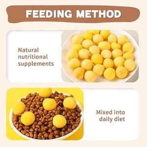 Preço de fábrica Venda Quente Pet Snacks Alimentos Frango Gema De Ovo Nutrição Natural Liofilizado Para Gatos E Cães Trata Alimento Seco - Product Image 3