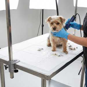 Tapis absorbants pour animaux de compagnie résistants aux déchirures, durables même lorsqu'ils sont déchirés ou mâchés, soins pour animaux malades, tapis d'urine spéciaux pour animaux de compagnie en gros - Product Image 5