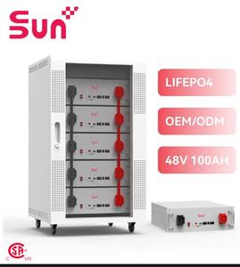 Batería de Almacenamiento Doméstico Sunplus de 5.12 kWh, 51.2V, 100ah, Rentable, para Sistema Solar de Balcón, con 10 Años de Garantía - Product Image 1