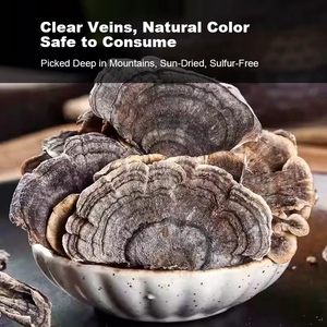 Suministro <span class=keywords><strong>de</strong></span> Fábrica: Hongo Silvestre Yunzhi Trametes Versicolor, también conocido como Coriolus Versicolor, Polyporus Versicolor, Hongo <span class=keywords><strong>Cola</strong></span> <span class=keywords><strong>de</strong></span> <span class=keywords><strong>Pavo</strong></span> - Product Image 4