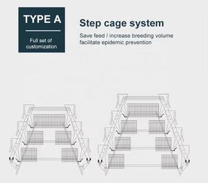 حالة جديدة من نوع قفص تغذية الدجاج زرع التلقائي شبكة بطارية قفص الدواجن لتربية الدجاج بكفاءة - Product Image 3